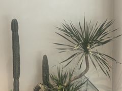 -J Create城市露营咖啡·简餐·宠物(上海动物园店)