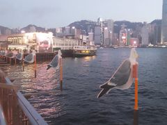 -海港城