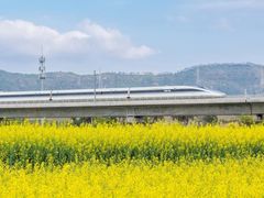 -光明小镇欢乐田园