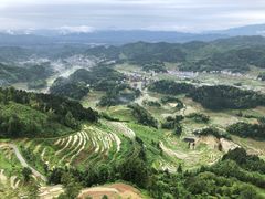 -紫鹊界梯田景区