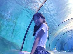 -泉城欧乐堡海洋极地世界