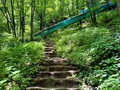 -王顺山国家森林公园