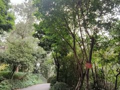 -南岗山公园