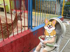 -荆州中山公园动物园