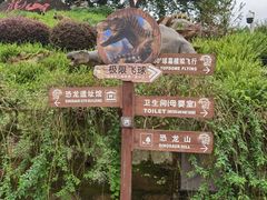 -自贡恐龙博物馆