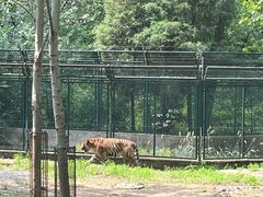 -秦皇岛野生动物园