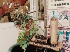 -猫小院猫主题餐厅(南锣旗舰店)
