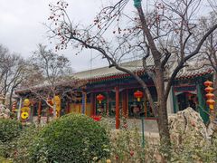 -白家大院·王府宫廷菜(苏州街店)