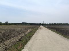 -嘉北郊野公园