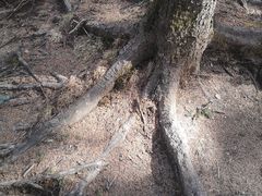 -芦芽山旅游度假区