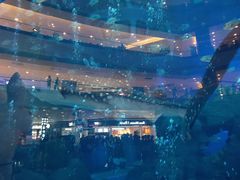 -成都浩海立方海洋公园