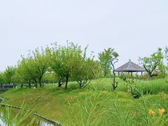 -浏河古镇