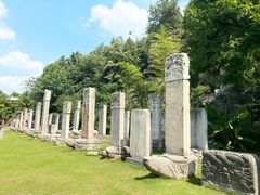 -徐州龟山景区