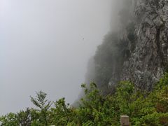 -花岙岛
