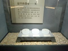 -烟台市博物馆