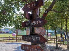 -田园东方蜜桃村的田野营地