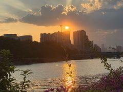-光明港公园