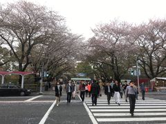 -名古屋城