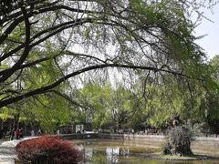 -四川大学(华西校区)