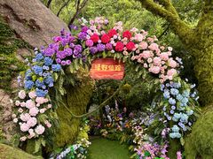 -沂蒙云瀑洞天景区