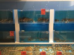 水产区-首旅京伦酒店·8号时尚餐厅