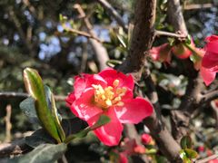 -沙河三洞古桥公园