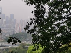 -南山植物园
