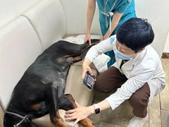 -美联众合动物医院·24h转诊中心