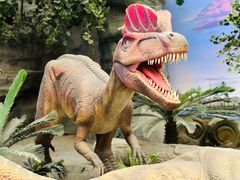 -国家自然博物馆