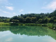 -金陵矩阵(聚宝山公园店)