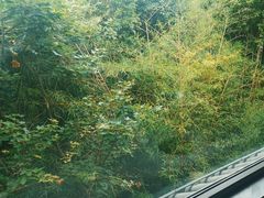 -外滩·云南人家(昆明旗舰店)