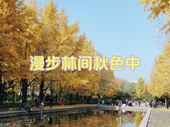 -玲珑塔公园