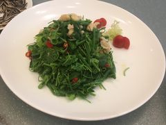 -东哥紫阳蒸盆子(旺座·现代城店)