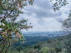 -紫金山山顶公园