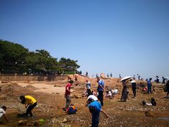 -青岛第二海水浴场