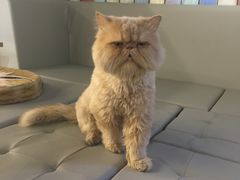 -小时光咖啡馆(开森度假森林店)