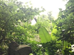 -杭州黄龙洞