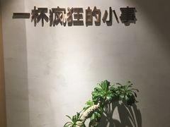 -莓超疯