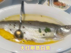-醉舍·新淮扬菜(长宁龙之梦店)