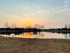 -东郊湿地公园