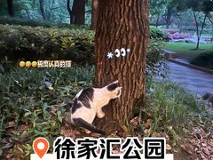 -徐家汇公园