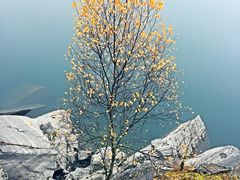 -叠溪松坪沟景区