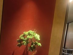 -全聚德(双井店)