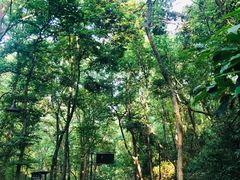 -苏堤停车场