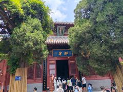 -洛阳白马寺