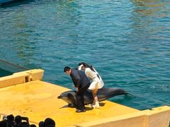 -秦皇岛乐岛海洋王国