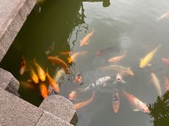 -檀园