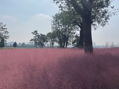 -汉长安城未央宫国家考古遗址公园