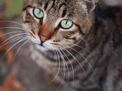 -星光摄影器材城