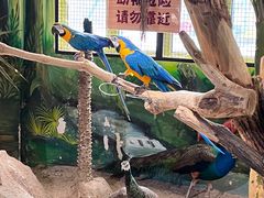 -海合安武汉极地海洋公园